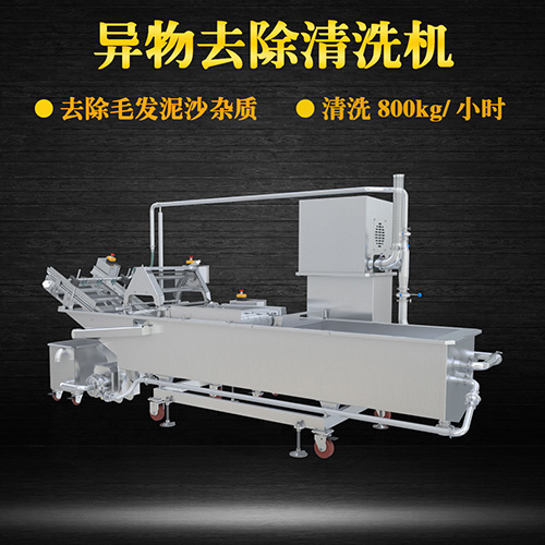 果蔬氣泡翻洗機(jī)，有效清洗，過濾泥沙